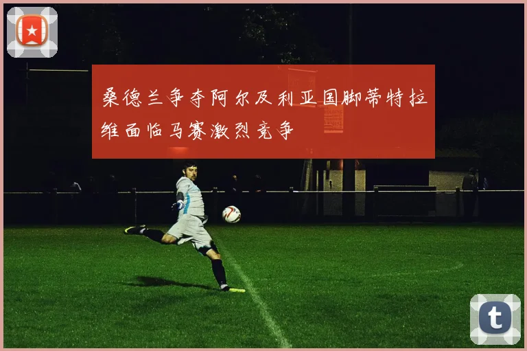 桑德兰争夺阿尔及利亚国脚蒂特拉维面临马赛激烈竞争