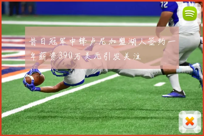 昔日冠军中锋卢尼加盟湖人签约一年薪资390万美元引发关注