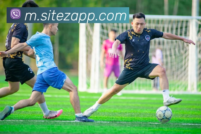 战术演练